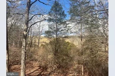 130 Patterson Creek Hwy, Lahmansville, WV 26731 - Photo 41