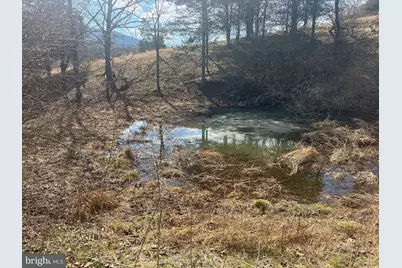 130 Patterson Creek Hwy, Lahmansville, WV 26731 - Photo 35