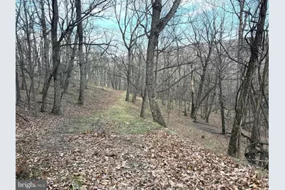 Lot 5 Preserve Road, Maysville, WV 26833 - Photo 5