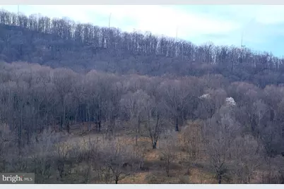 Lot 5 Preserve Road, Maysville, WV 26833 - Photo 5