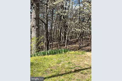 116 Pettibone Drive, Petersburg, WV 26847 - Photo 11