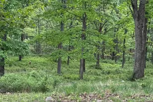 155 Foxdale Ln, Maysville, WV 26833 - Photo 59