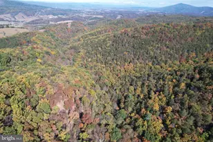 961 Almost Heaven Dr, Petersburg, WV 26847 - Photo 15