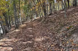 961 Almost Heaven Dr, Petersburg, WV 26847 - Photo 11