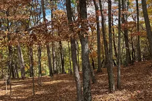 961 Almost Heaven Dr, Petersburg, WV 26847 - Photo 19