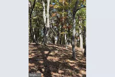 961 Almost Heaven Drive, Petersburg, WV 26847 - Photo 25