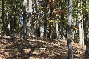 961 Almost Heaven Dr, Petersburg, WV 26847 - Photo 25