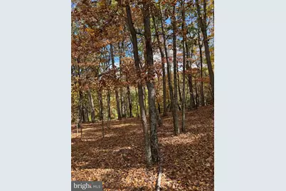 961 Almost Heaven Drive, Petersburg, WV 26847 - Photo 19