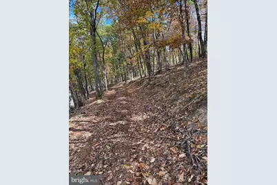 961 Almost Heaven Drive, Petersburg, WV 26847 - Photo 11