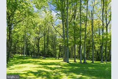 663 Bear Woods Road, Mount Storm, WV 26739 - Photo 43