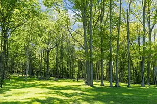 663 Bear Woods Rd, Mount Storm, WV 26739 - Photo 43