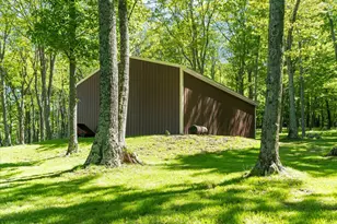 663 Bear Woods Rd, Mount Storm, WV 26739 - Photo 51
