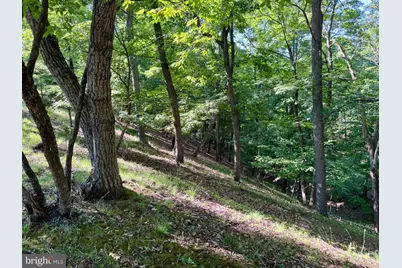 326 Tweed Lane, Petersburg, WV 26847 - Photo 7
