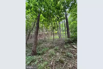 219 Eby Drive, Petersburg, WV 26847 - Photo 57