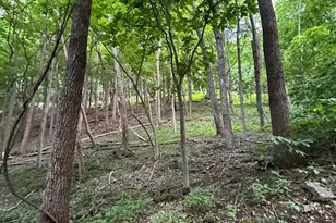219 Eby Dr, Petersburg, WV 26847 - Photo 57