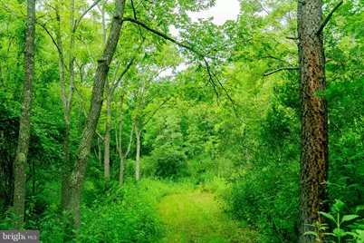 476 Schrader Lane, Petersburg, WV 26847 - Photo 47