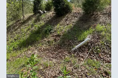 500 Maryvale Lane #(46+ ACS), Petersburg, WV 26847 - Photo 77