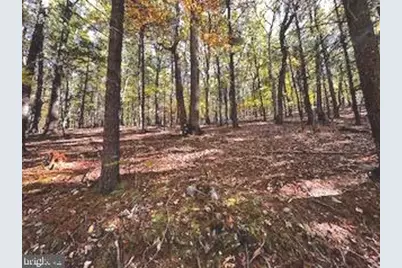 0 Lower Arkansas Road, Baker, WV 26801 - Photo 7