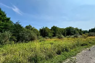 Lot 48 Warden Hollow S-D Lake, Wardensville, WV 26851 - Photo 1