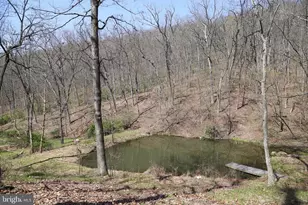 4423 High Knob Rd, Old Fields, WV 26845 - Photo 23