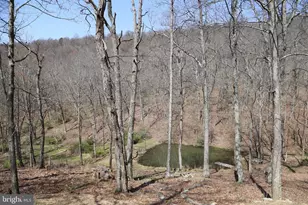 4423 High Knob Rd, Old Fields, WV 26845 - Photo 21