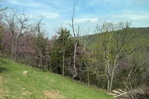 1695 Settlers Valley Way Way, Lost City, WV 26810 - Photo 7