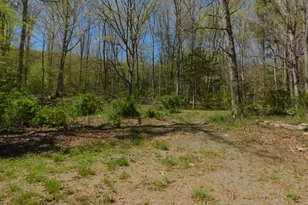 21165 State Road 55, Wardensville, WV 26851 - Photo 53