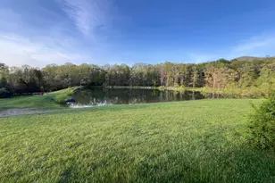 Tr #13 Sec #14 High Knob Rd, Old Fields, WV 26845 - Photo 31