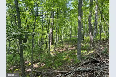 Tr #13 Sec #14 High Knob Road, Old Fields, WV 26845 - Photo 21