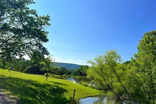 Tr #13 Sec #14 High Knob Rd, Old Fields, WV 26845 - Photo 27