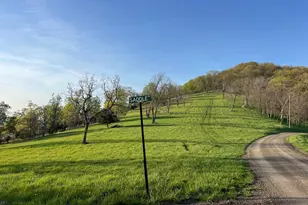 Tr #13 Sec #14 High Knob Rd, Old Fields, WV 26845 - Photo 29