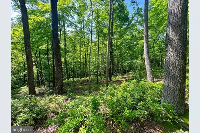 Tr #13 Sec #14 High Knob Road, Old Fields, WV 26845 - Photo 15