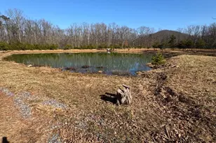 362 Oak Hill Rd, Moorefield, WV 26836 - Photo 87