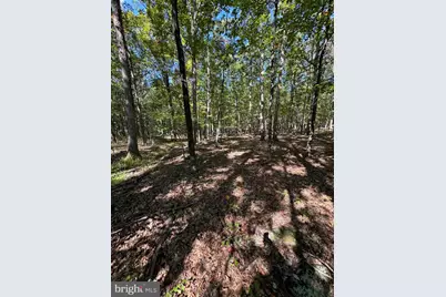 362 Oak Hill Road, Moorefield, WV 26836 - Photo 35