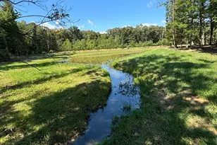 362 Oak Hill Rd, Moorefield, WV 26836 - Photo 3
