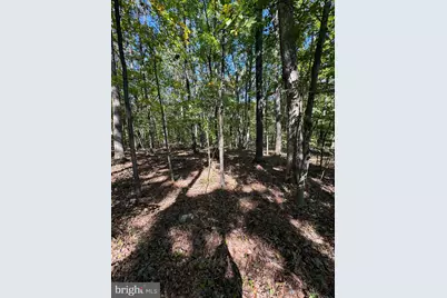 362 Oak Hill Road, Moorefield, WV 26836 - Photo 51