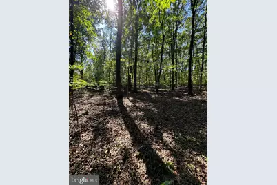 362 Oak Hill Road, Moorefield, WV 26836 - Photo 53