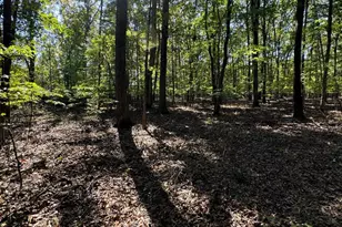 362 Oak Hill Rd, Moorefield, WV 26836 - Photo 53