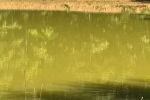 362 Oak Hill Rd, Moorefield, WV 26836 - Photo 39