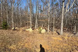 362 Oak Hill Rd, Moorefield, WV 26836 - Photo 71