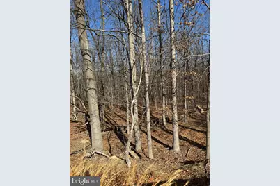 362 Oak Hill Road, Moorefield, WV 26836 - Photo 65