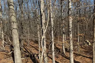 362 Oak Hill Rd, Moorefield, WV 26836 - Photo 65