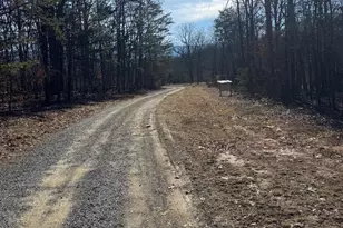 362 Oak Hill Rd, Moorefield, WV 26836 - Photo 123