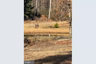 362 Oak Hill Road, Moorefield, WV 26836 - Photo 41