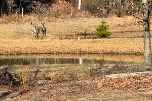 362 Oak Hill Rd, Moorefield, WV 26836 - Photo 41