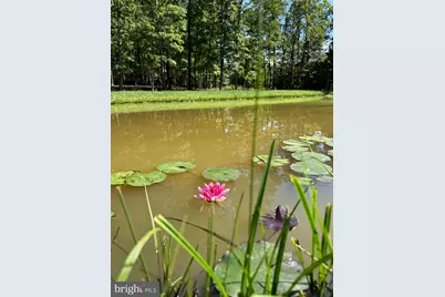 362 Oak Hill Road, Moorefield, WV 26836 - Photo 47