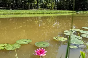 362 Oak Hill Rd, Moorefield, WV 26836 - Photo 45