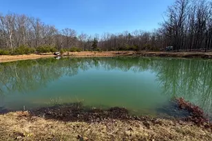 362 Oak Hill Rd, Moorefield, WV 26836 - Photo 85