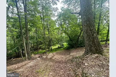 5620 High Knob Loop, Old Fields, WV 26845 - Photo 15