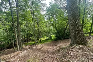 5620 High Knob Loop, Old Fields, WV 26845 - Photo 15